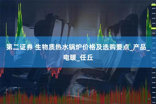 第二证券 生物质热水锅炉价格及选购要点_产品_电暖_任丘