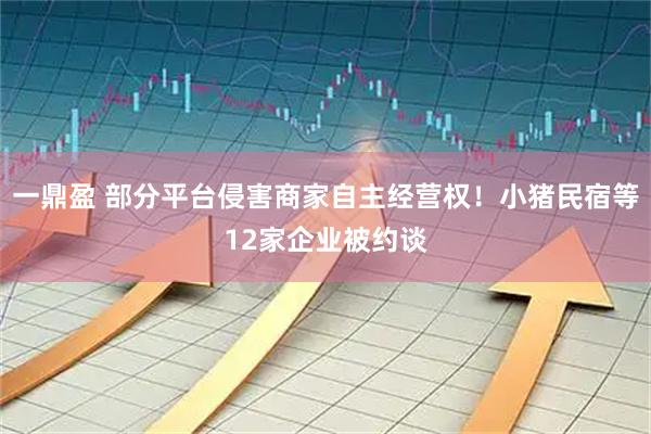 一鼎盈 部分平台侵害商家自主经营权！小猪民宿等12家企业被约谈