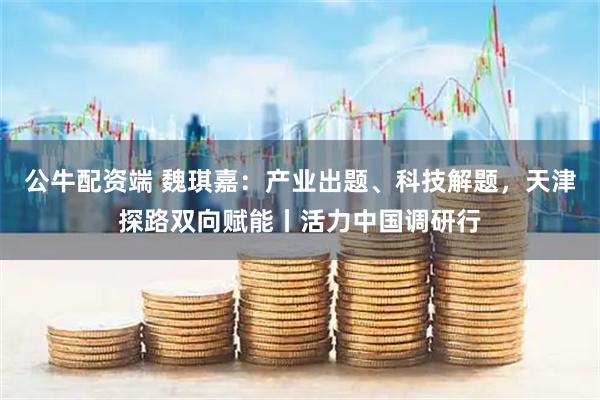 公牛配资端 魏琪嘉：产业出题、科技解题，天津探路双向赋能丨活力中国调研行